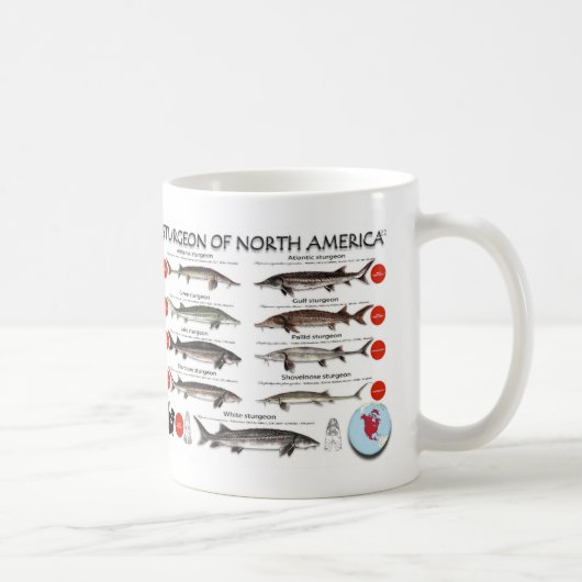 Tasse nord-américaine de RedList d'esturgeon (Droite)