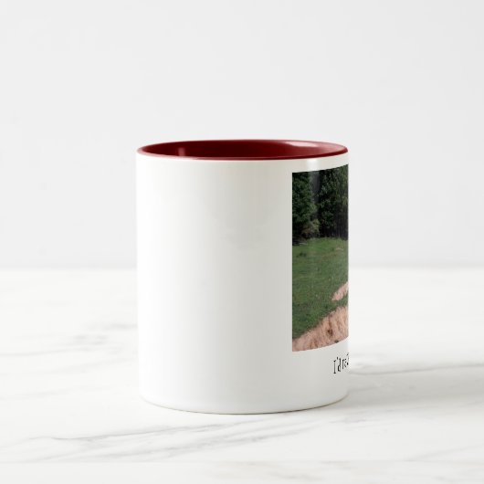 tasse occidentale… Je monterais plutôt (Centre)