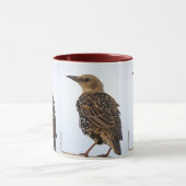 Tasse Oiseau Étourneau Sansonnet Européen (Centre)