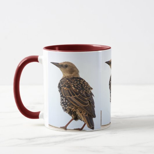 Tasse Oiseau Étourneau Sansonnet Européen (Gauche)
