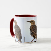 Tasse Oiseau Étourneau Sansonnet Européen (Devant gauche)