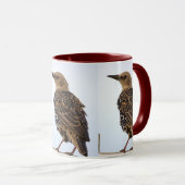 Tasse Oiseau Étourneau Sansonnet Européen (Devant droit)