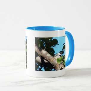 Tasse Oiseau Fouineur