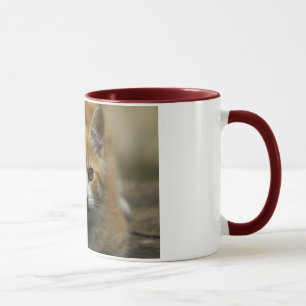 Tasse orange de chaton