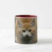 Tasse orange de chaton (Centre)