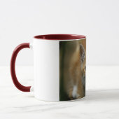 Tasse orange de chaton (Gauche)