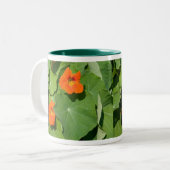 Tasse orange de nasturce (Devant gauche)
