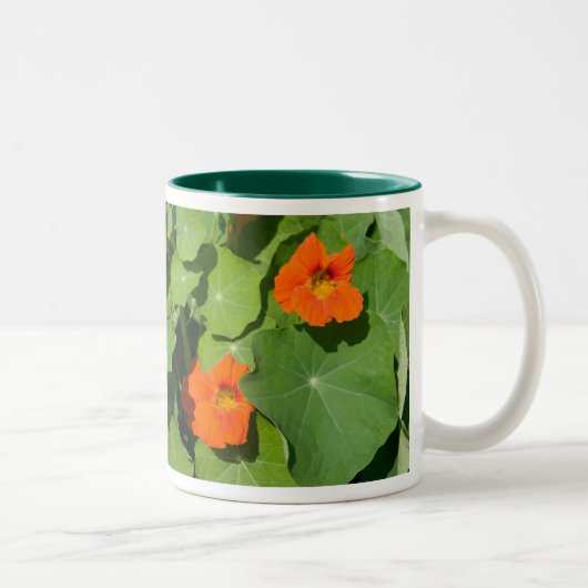 Tasse orange de nasturce (Droit)