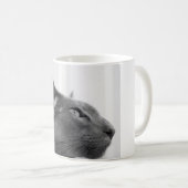 Tasse orientale de chat de Shorthair (Devant droit)