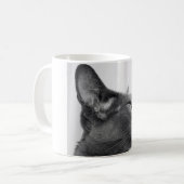 Tasse orientale de chat de Shorthair (Devant gauche)
