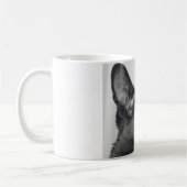 Tasse orientale de chat de Shorthair (Gauche)