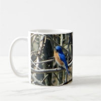 Tasse orientale heureuse d'oiseau bleu