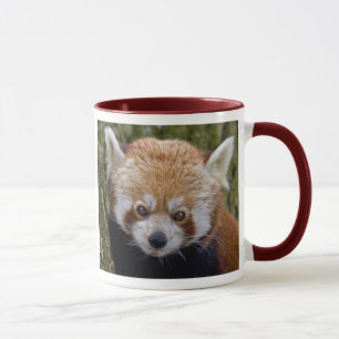 Tasse Panda roux