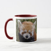 Tasse Panda roux (Gauche)