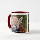 Tasse Panda roux (Devant gauche)