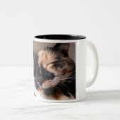 Tasse paresseuse de chat (Devant droit)