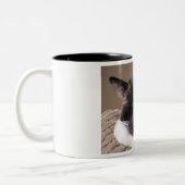 Tasse paresseuse de chat (Gauche)