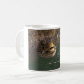Tasse parlante de tortue (Devant gauche)