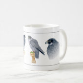 Tasse pérégrine de fauconnerie (Devant droit)