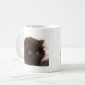 Tasse persane noire de chaton (Devant gauche)