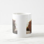 Tasse persane noire de chaton (Centre)