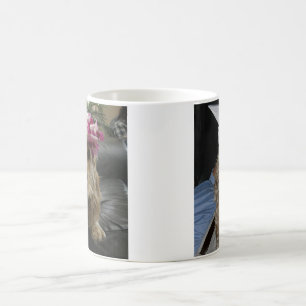 Tasse personnalisable d'animal familier de photo