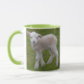 Tasse Petit Agneau (Gauche)