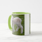 Tasse Petit Agneau (Devant gauche)