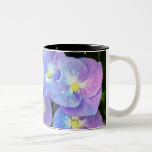 Tasse pourpre d'hortensias de casquette de (Droit)