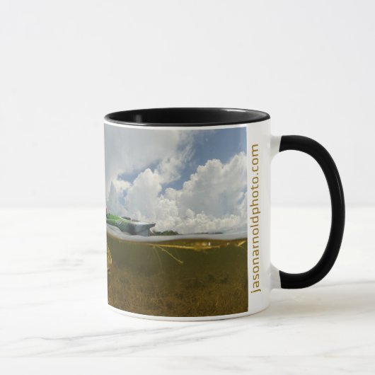 Tasse prédatrice de rougets communs (Droite)