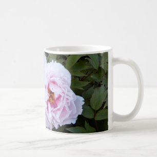 Tasse Pretty Pink Peony