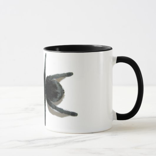 Tasse - pulchra de Grammostola (noir brésilien) (Droite)