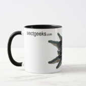 Tasse - pulchra de Grammostola (noir brésilien) (Gauche)