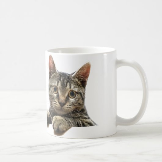 Tasse rayée grise de chat tigré (Droite)