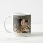 Tasse réfléchie adorable de chat tigré (Gauche)