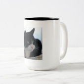 Tasse réfléchie de chat de smoking (Devant droit)