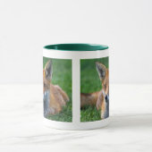 Tasse Renard Rouge (Centre)
