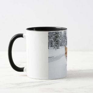 Tasse Renard Rouge Hiver - Céramique Faune Forêt E
