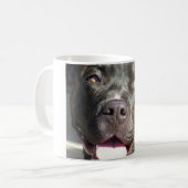 Tasse rocheuse (Devant gauche)