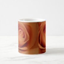 Tasse rose de beauté d'abricot