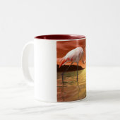 Tasse rose de Flamant rose de la Floride (Devant gauche)