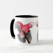 Tasse rose de Galah de cacatoès de Breasted (Devant gauche)