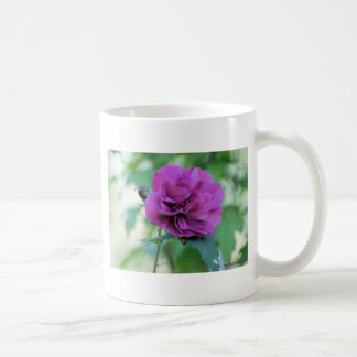 Tasse Rose de Sharon