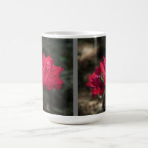 Tasse Rose Rouge
