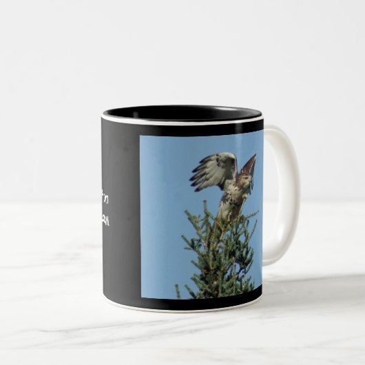 tasse Rouge-coupée la queue de faucon (Devant droit)