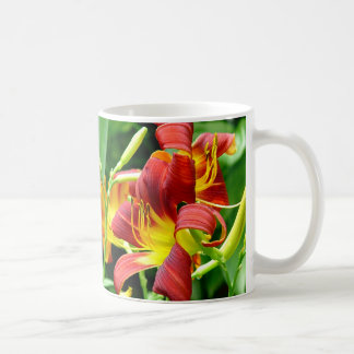 Tasse rouge de Daylilies