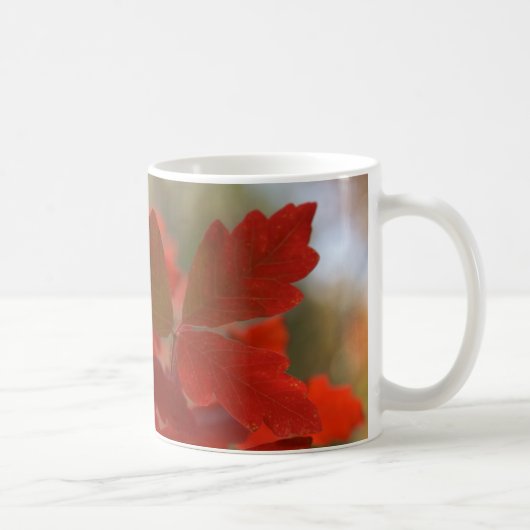 Tasse rouge de feuille d'automne (Droite)