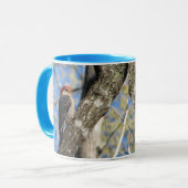 tasse Rouge-gonflée de pivert (Devant gauche)