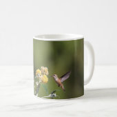 Tasse Rufous de colibri (Devant droit)