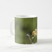 Tasse Rufous de colibri (Devant gauche)